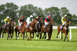 race-night-horses